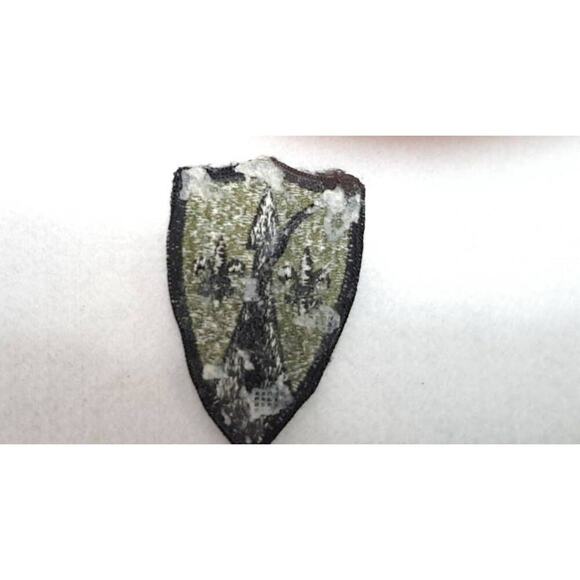US Army Patch Theater Support Command Europe Subdued Shoulder Preowned Vintage - Picture 2 of 2